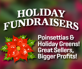 Holiday Fundraiser